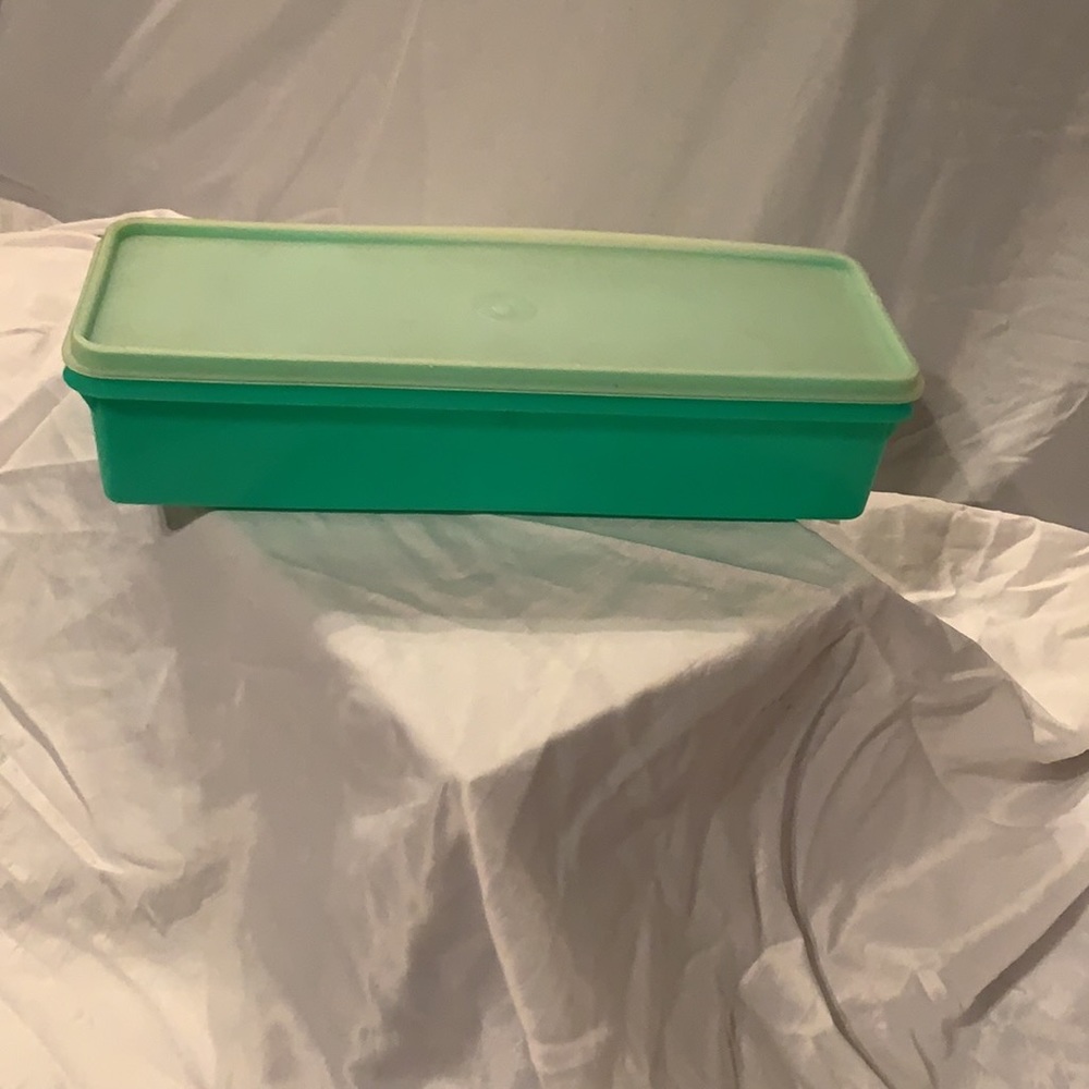 Vintage Tupperware container green bottom clear top 12” x 3.5” 2.5” deep celery